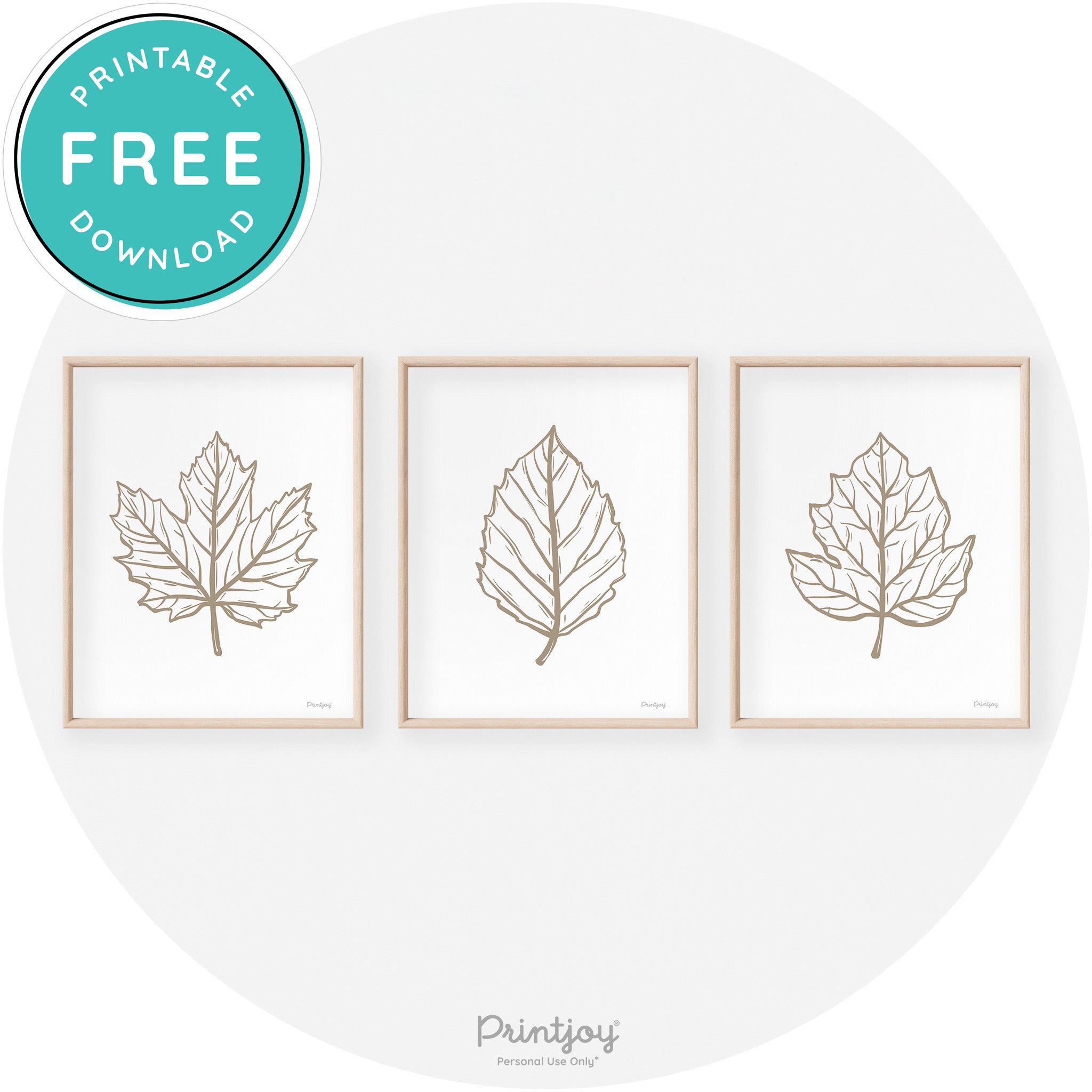Fall Leaf Drawings Set of 3 Modern Transitional Wall Art Free Printable - Printjoy