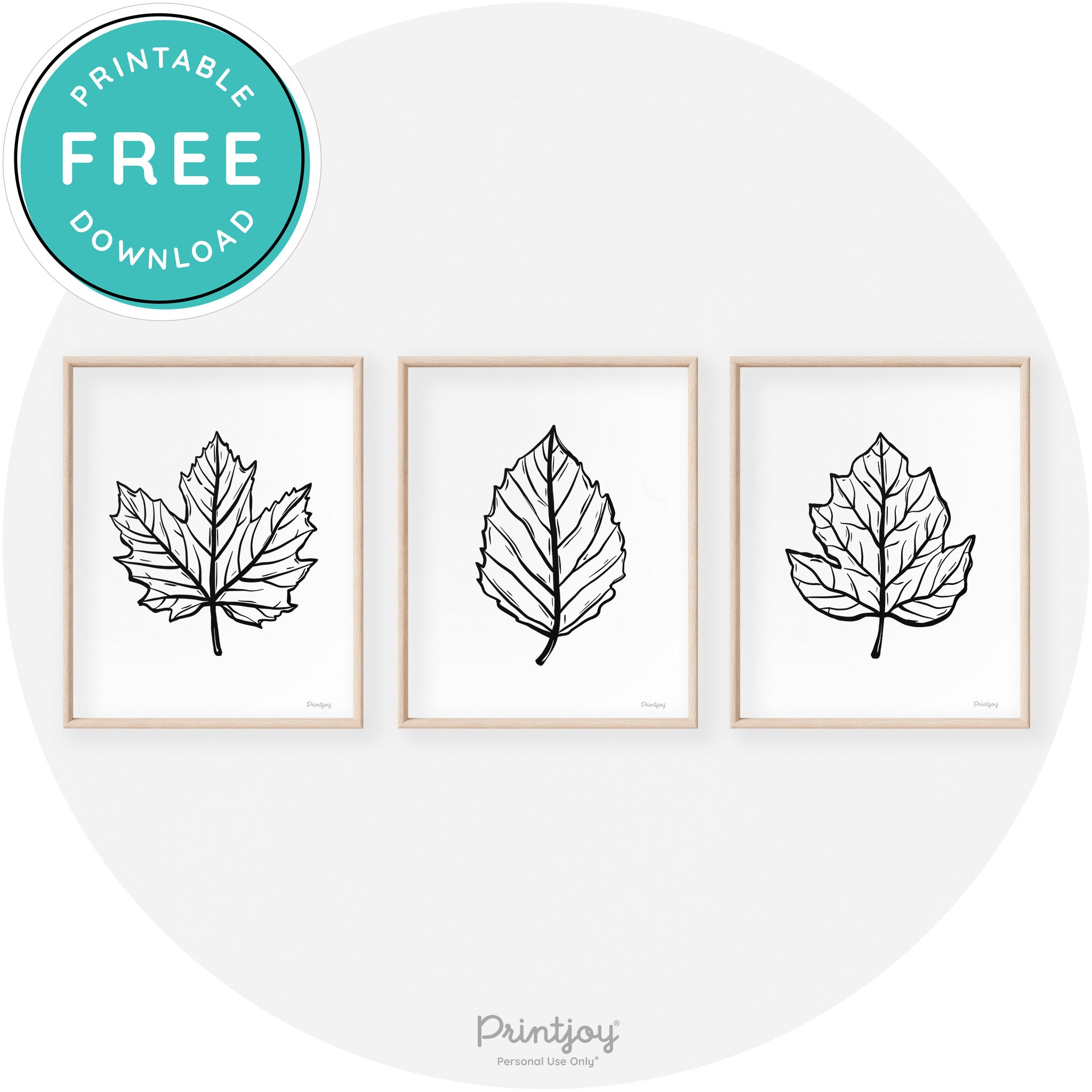 Fall Leaf Drawings Set of 3 Modern Transitional Wall Art Free Printable