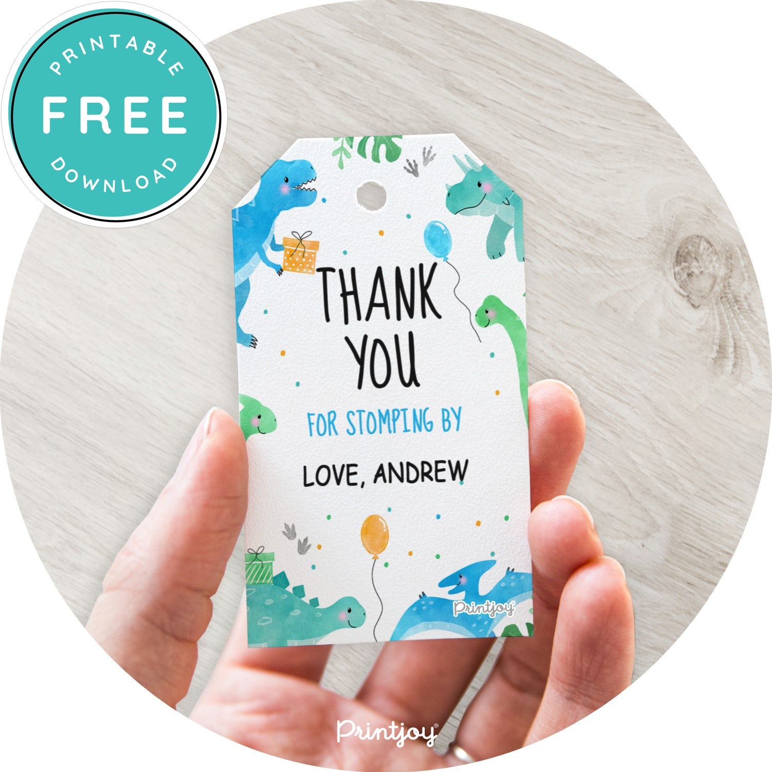 Boys Bright N Fun Dinosaur Thank You Gift Tag Birthday Party Printable - Printjoy